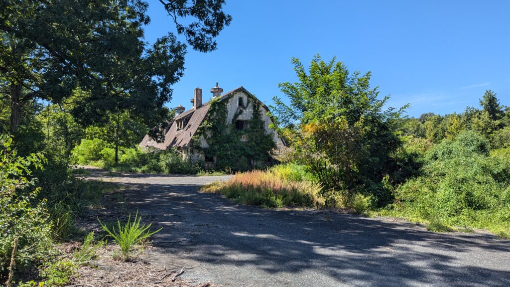 PXL_20250809_181555765 PXL_20250809_181555765