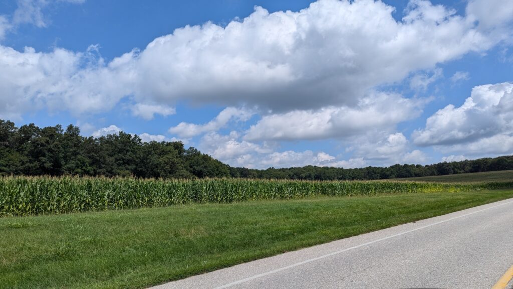 PXL_20250811_160300938 PXL_20250811_160300938