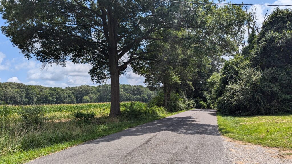 PXL_20250811_160629887 PXL_20250811_160629887